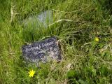 image of grave number 788625